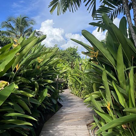 Eden Paradise Ecolodge & Spa Сент-Люс Экстерьер фото