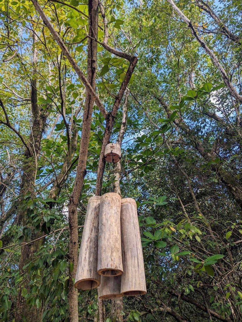 Eden Paradise Ecolodge & Spa Сент-Люс Экстерьер фото