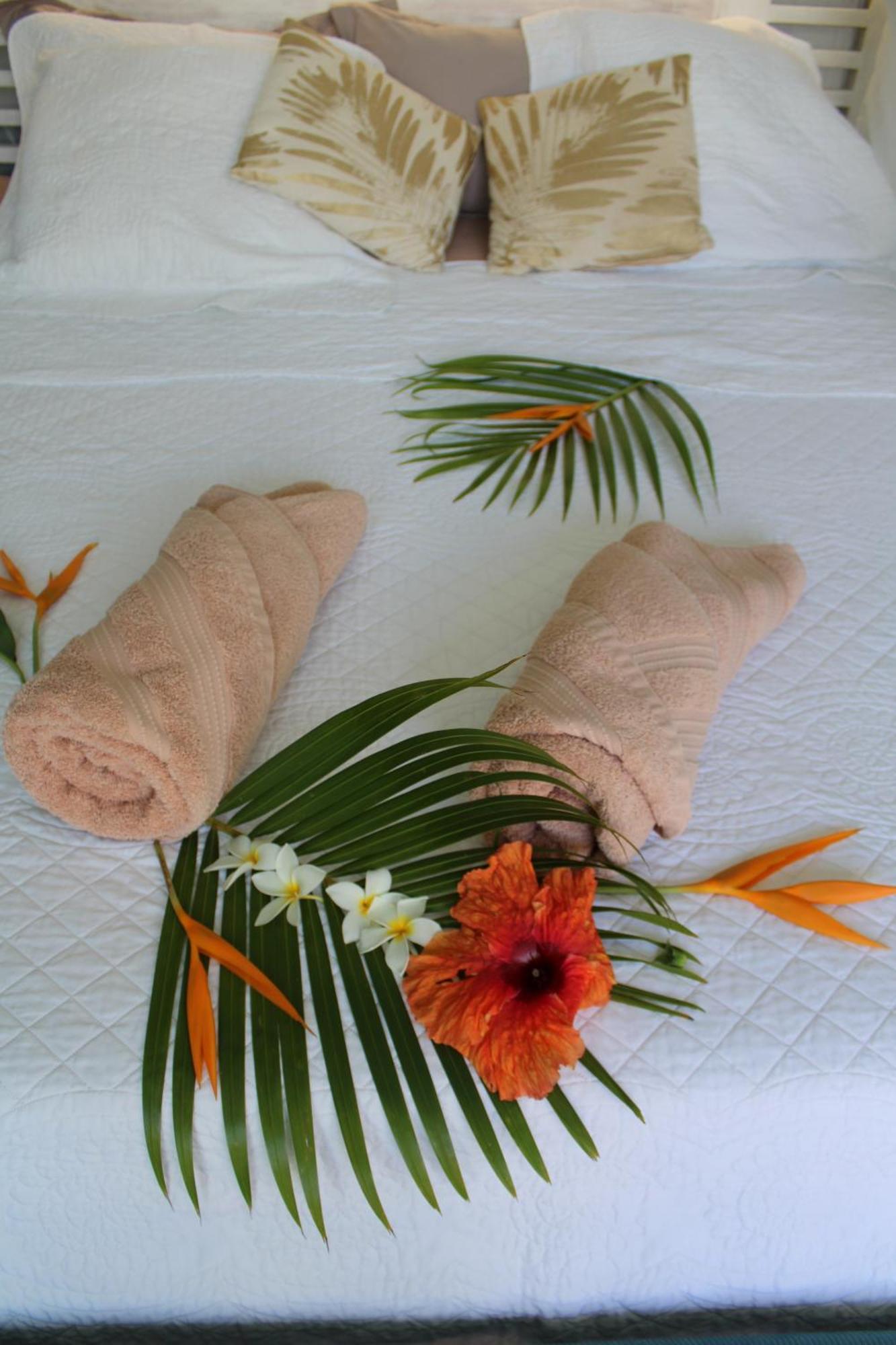 Eden Paradise Ecolodge & Spa Сент-Люс Номер фото